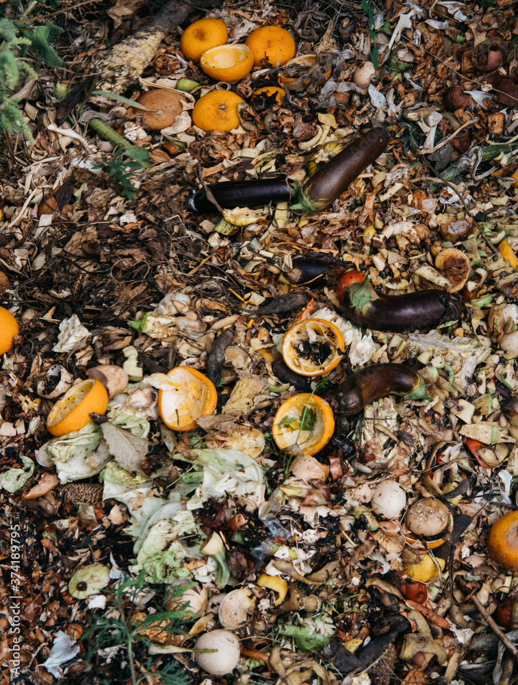 Vegetables and fruits rot in the compost pit. Household waste for