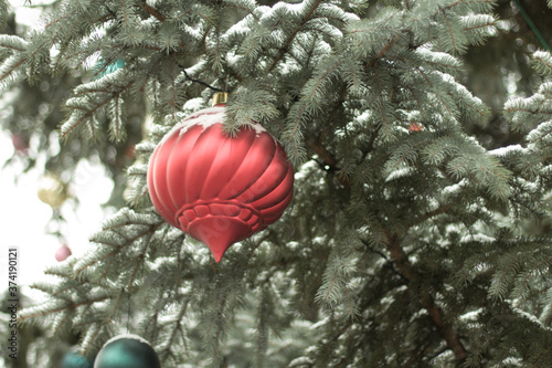 Christmas- New Year tree in the snow with red decoration.