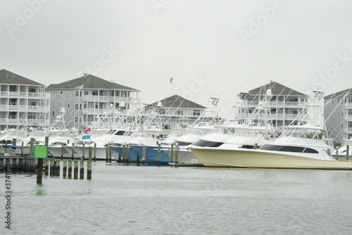 boats in the harbor
