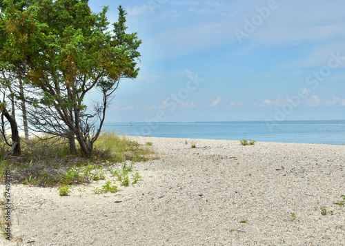 Fototapeta Naklejka Na Ścianę i Meble -  Long Island Sound beach of shells and stones with view towards Connecticut. 