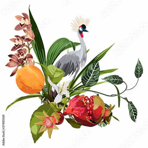 Elegant floral and zoo composition. A print for a t-shirt. Tropical orchid flowers, fruits and exotic bird. Vintage style illustration.
