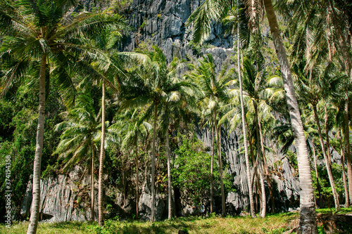 Wild beautiful beach on a small island with tall grass and palm trees in the Indian Ocean near El Nido, Palawan, Philippines