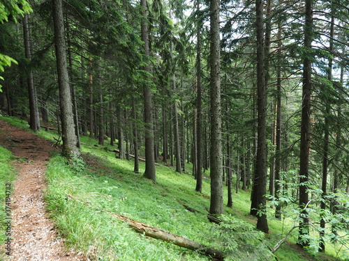 Austrian Hike