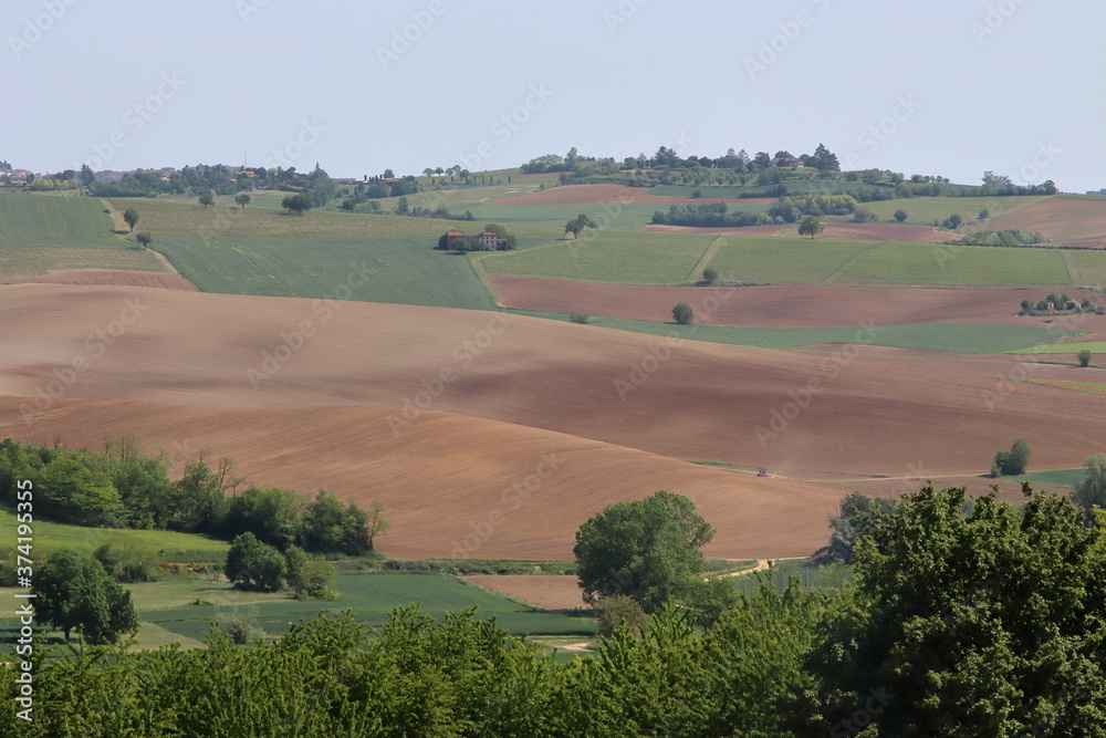 Fototapeta premium Lower Monferrato (Piedmont, Italy)