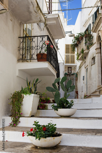 Balcony with flowers  Vico Antonio Fratti  a picturesque alley in Ostuni  Puglia  Italy