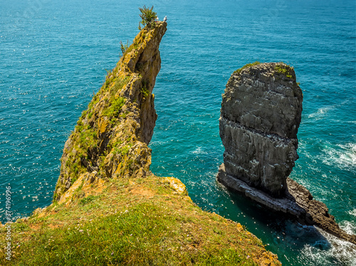 A rocky promontory gives a pair of predatory gulls a viewpoint over a rock stack offshore populated by breeding Raverbill Gulls on the Pembrokeshire coast, Wales in summer photo