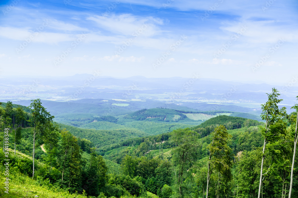Naklejka premium Beautiful summer forest and hills
