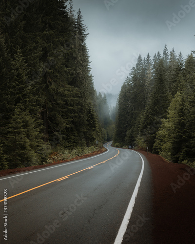 Foggy forest road, Oregon