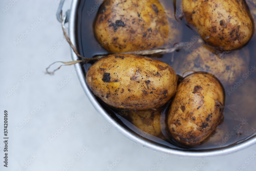 young unpeeled potatoes lying in water in an aluminum pot young unpeeled potatoes lying in water in an aluminum pot