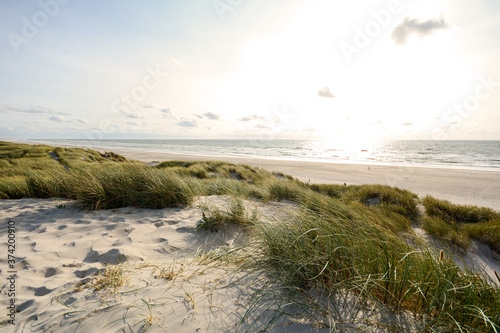 Canvas Print View to beautiful landscape with beach and sand dunes near Henne Strand, North s