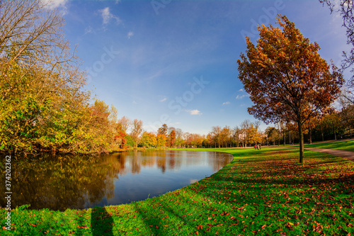 autumn landscape with trees and lake