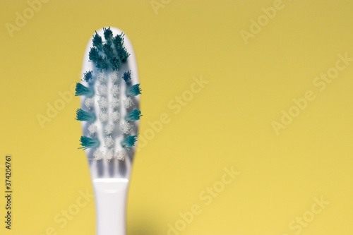 Toothbrush Bristles