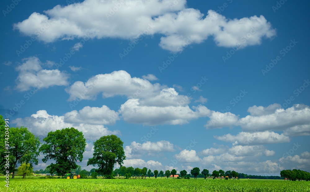 Fototapeta premium A large green field with clouds in the sky. High quality photo
