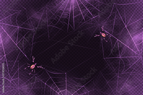 A black spider hangs on a web. Scary spiderweb of halloween symbol. Realistic  silhouette.Vector illustration.
