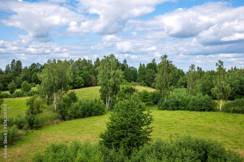 Obraz premium beautiful summer landscape