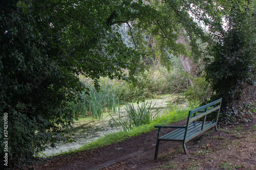 Fototapeta Naklejka Na Ścianę i Meble -  Bench along The New Reach, Halesworth Millennium Green, Suffolk, England