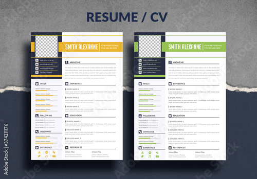 Professional cv, resume template of two pages, a4 formate