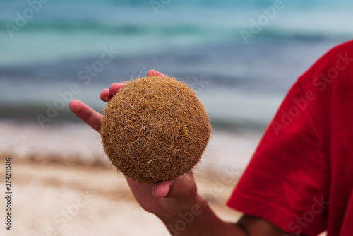 hand of a boy holding a seaball at the beach of the baleares photo