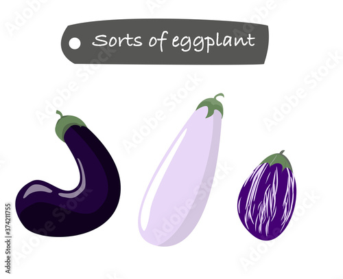 Sorts of eggplant, dark, spotted and white. 