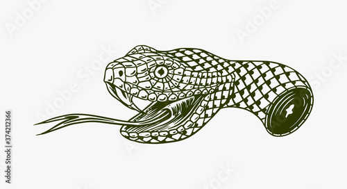 The severed head of a snake for tattoo or label. Engraved hand drawn line art. Vector illustration. Vintage old monochrome sketch. 