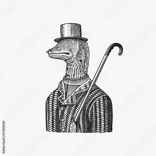 Muraena eels gentleman in a hat and suit with a cane. Fashion Animal character. Sea creature. Hand drawn sketch. Vector engraved illustration for logo, label and tattoo or T-shirts.
