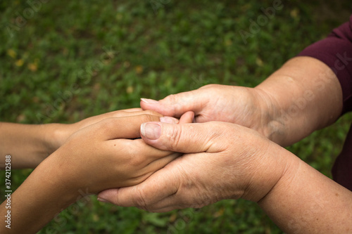 Hands of grandmother hold the hand of small child against a background of green grass. The concept of love and friendship  between generations. International Day of Older Persons and Grandparents Day © DiandraNina