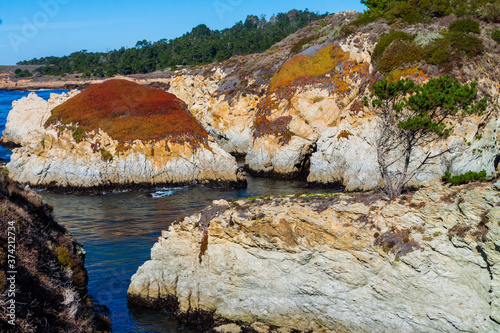 Sea Stacks in China Cove ,Point Lobos State Natural Reserve, Big Sur, California, USA