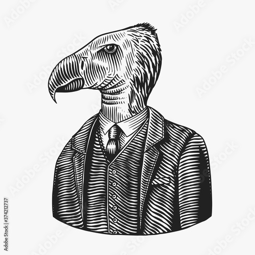 California condor gentleman. American Bird in costume. Fashion animal character. Hand drawn vintage sketch. Vector engraved illustration for logo, label and tattoo or T-shirts.