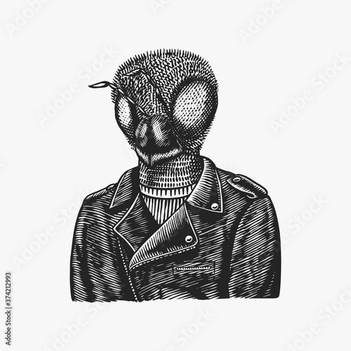 Bee biker. Fly in a leather jacket. Fashion insect character. Hand drawn sketch. Vector engraved illustration for logo, label and tattoo or T-shirts.