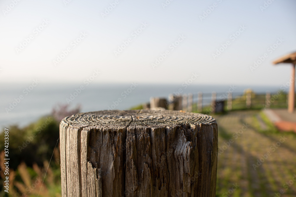 wooden fence on the beach