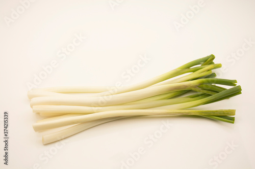 Green onion on branch on white background.