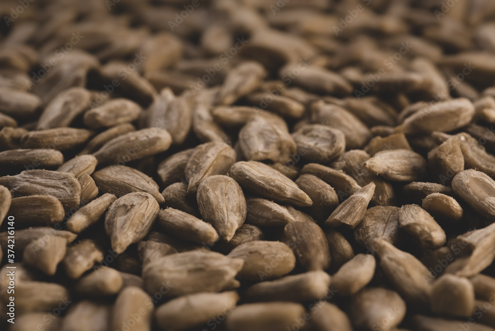 Sunflower seeds macro close up , selective focus Sunflower seeds macro close up , selective focus