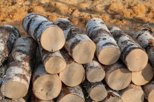 Brich logs texture background photo