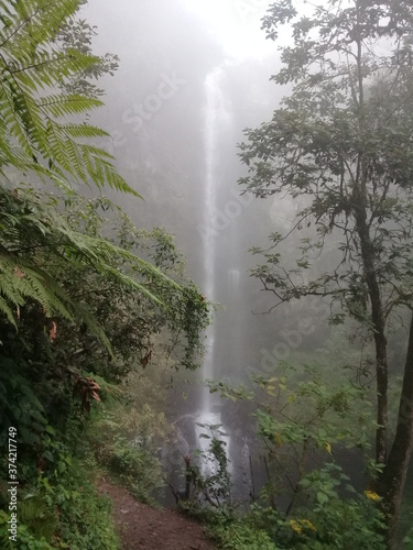 Bosque y Cascadas Paraíso, Puebla, México