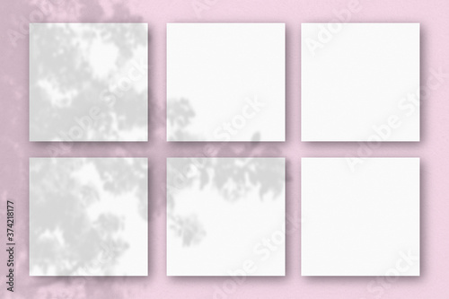 6 square sheets of white textured paper on the pink wall background. Mockup overlay with the plant shadows. Natural light casts shadows from an exotic plant.. Flat lay, top view