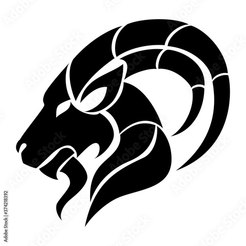 Capricorn zodiac sign isolated on white background.