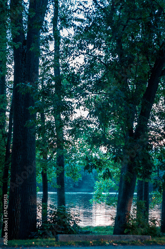 Fototapeta Naklejka Na Ścianę i Meble -  Sunset through the trees at Riverside Park by the Grand River