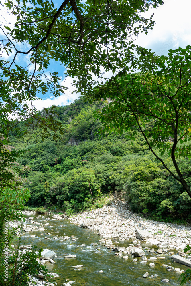 Summer view of Muko-river in Hyogo prefecture, Japan Summer view of Muko-river in Hyogo prefecture, Japan