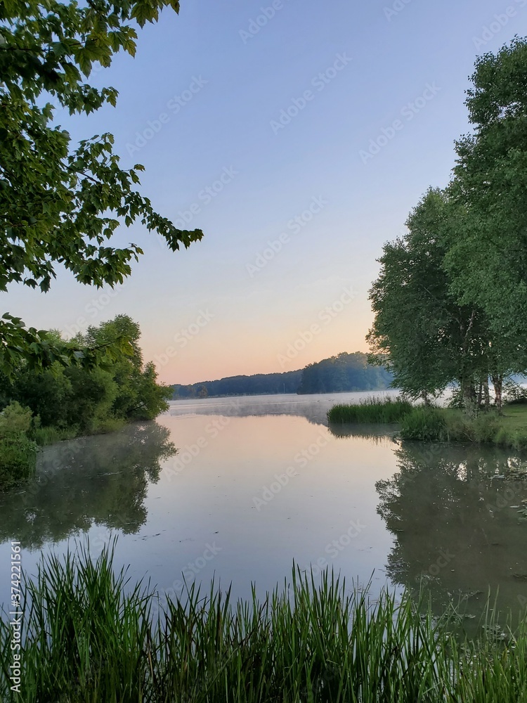 lake and forest lake and forest