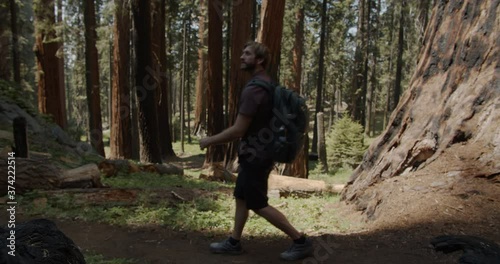 Young man hiking though Sequoia National Park with backpack on looking around and walking down path