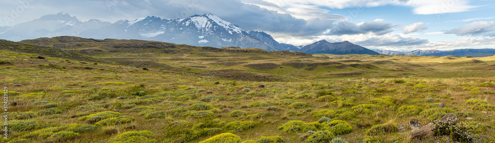 panoramica del parque torres del paine, chile. llanura con montañas de fondo y cielo nuboso 