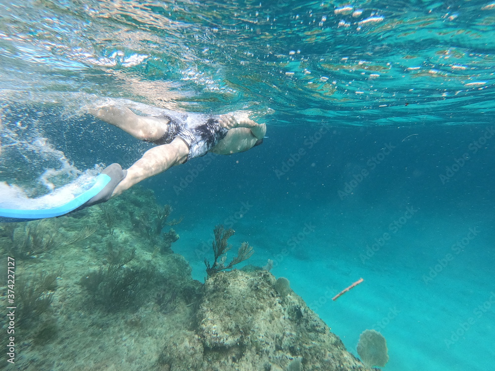 Fototapeta premium Snorkeling in Cuba