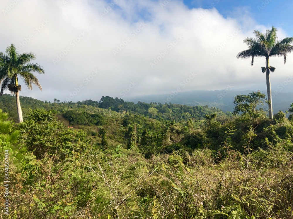 Fototapeta premium The Cuban countryside