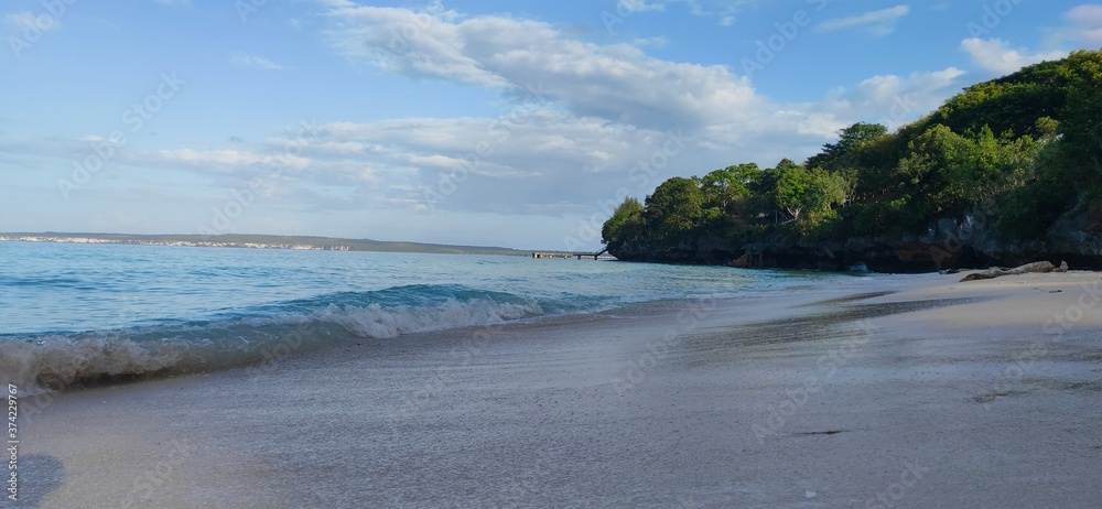 Fototapeta premium waves by the beach
