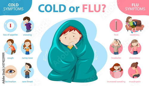 Medical infographic of cold and flu symptoms