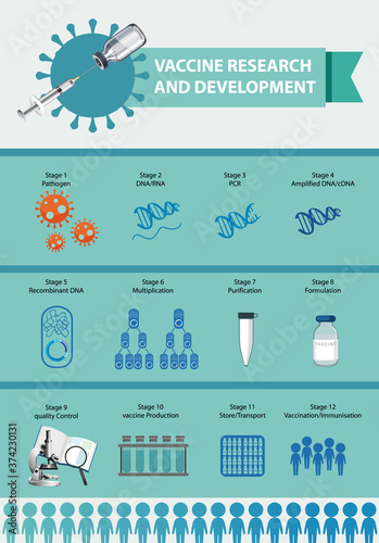 Vaccine research and development infographic