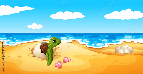 Turtle eggs hatch on sand