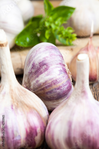 fragrant and ripe garlic
