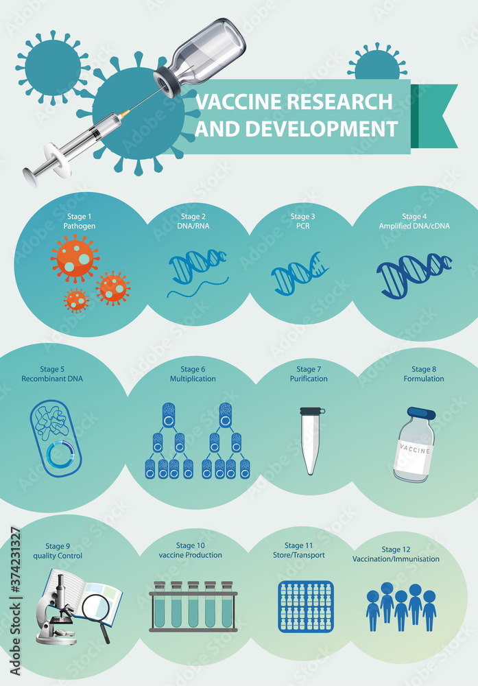 Vaccine research and development infographic