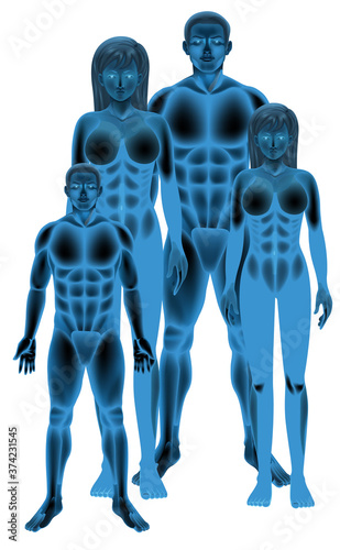 Group of empty human body anatomy